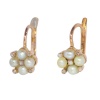Romantic Elegance: Victorian Diamonds and Pearl Earrings